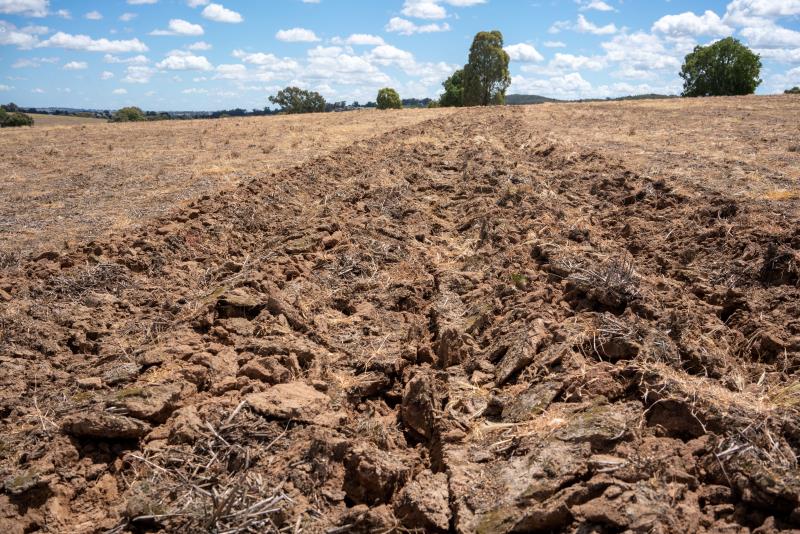 Deep ripped shattered soil with soil clods.