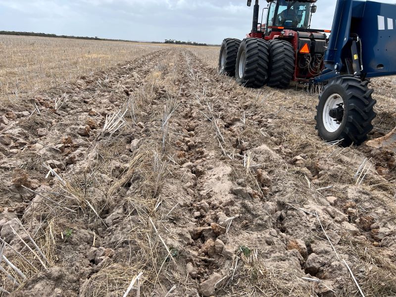 deep ripping improves soil moisture filtration and increases crop yields