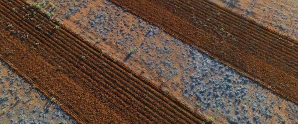 Aerial view of deep ripping lines in soil
