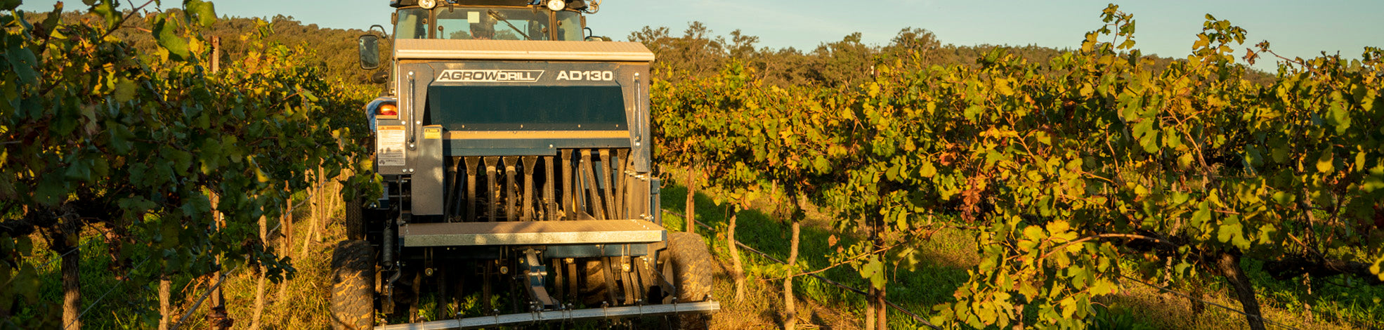 Vineyard seeder amongst trellis